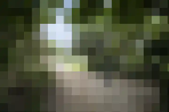 Dorpsstraat 3 Obdam thumbnail 71