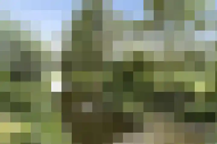 Dorpsstraat 3 Obdam thumbnail 79