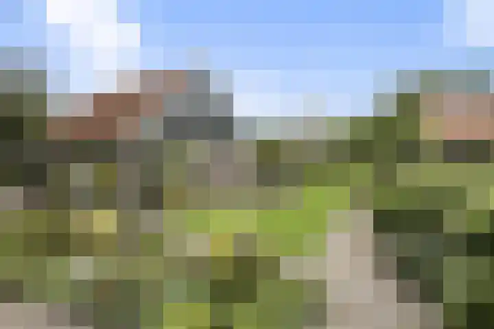 Dorpsstraat 3 Obdam thumbnail 85