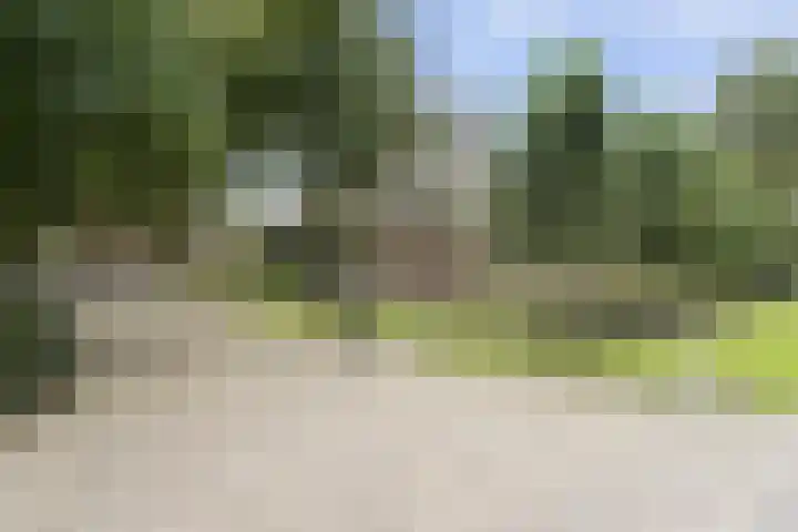 Dorpsstraat 3 Obdam thumbnail 9