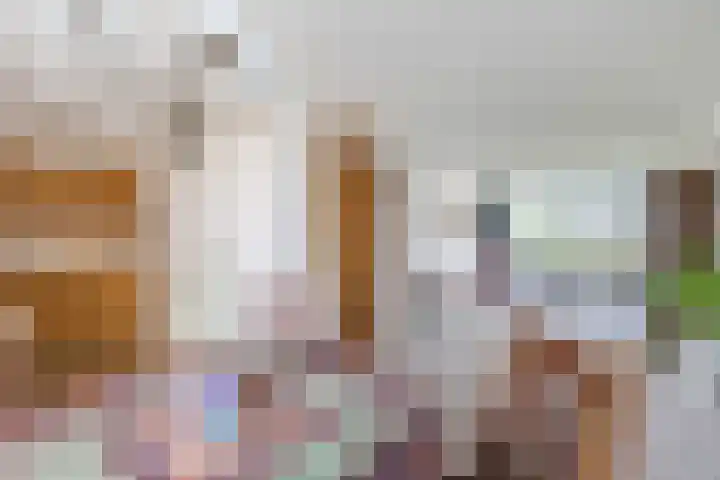 Dorpsstraat 30 a Koekange thumbnail 8