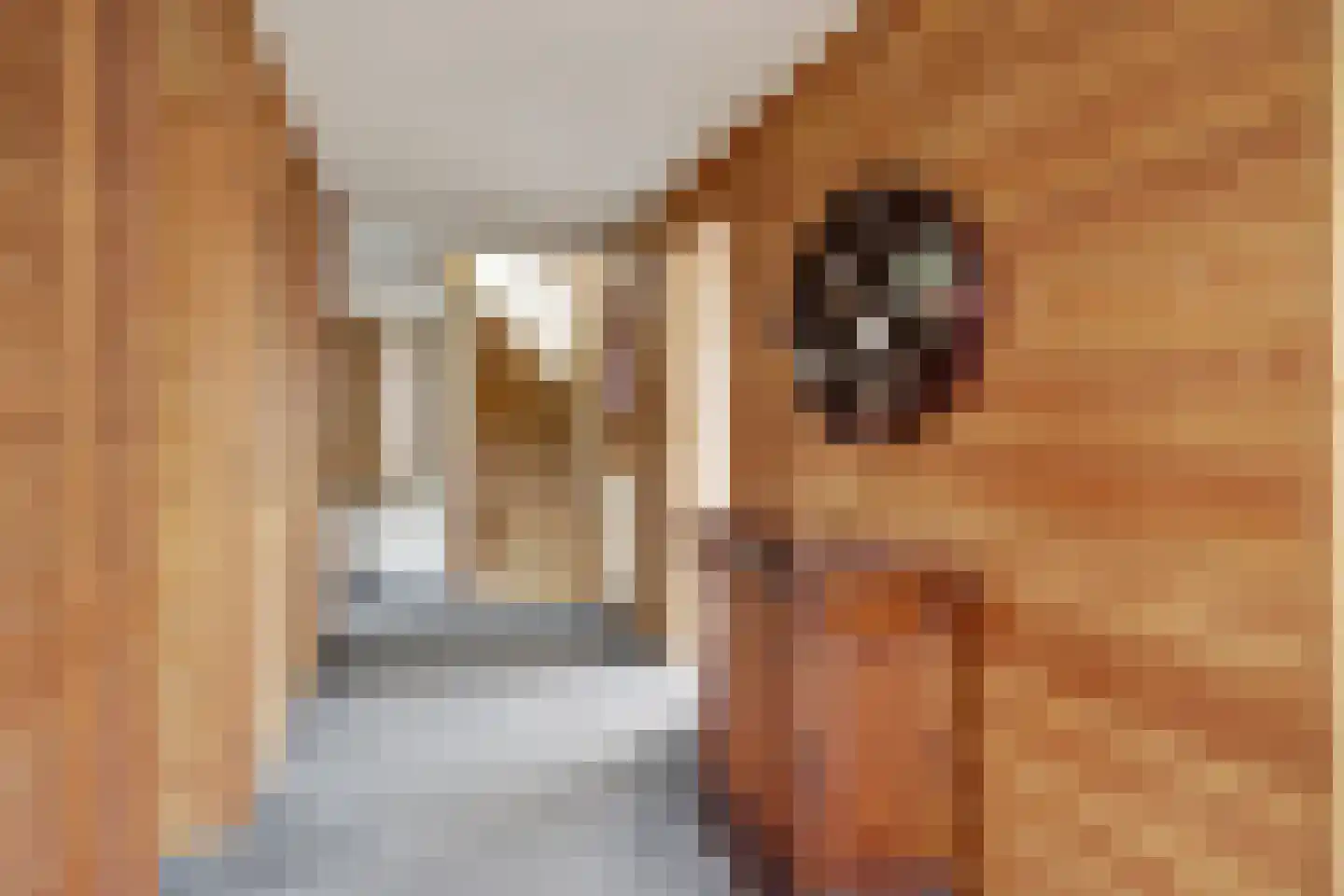 Dorpsstraat 30 Broek op Langedijk thumbnail 20