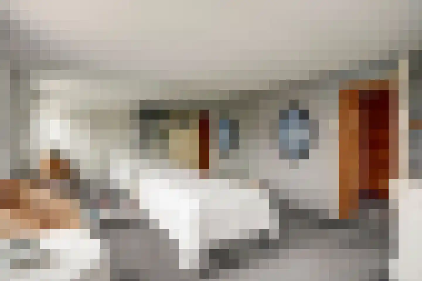 Dorpsstraat 30 Broek op Langedijk thumbnail 27