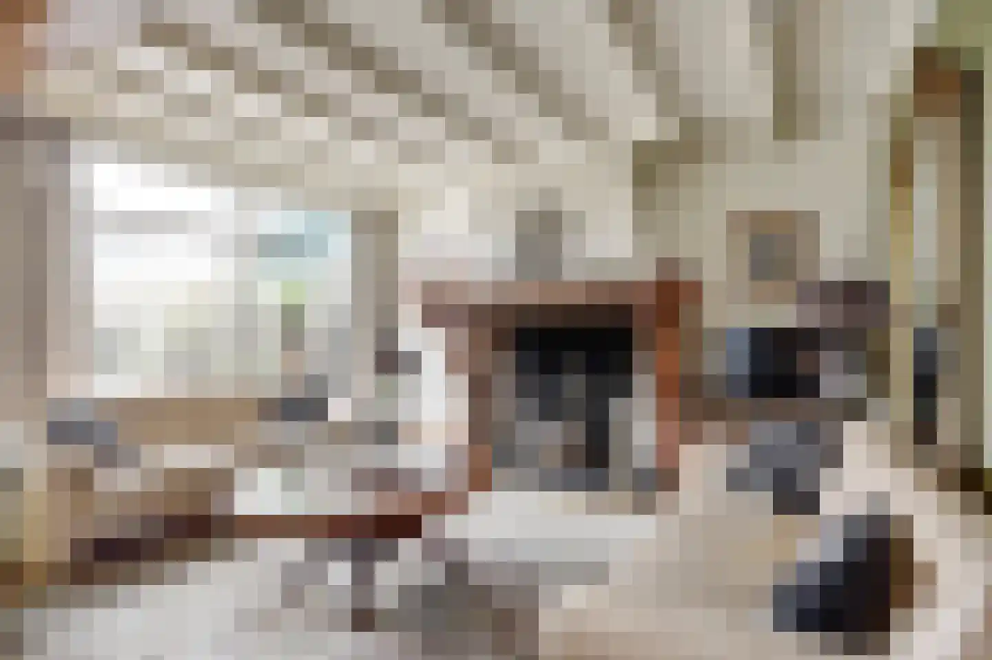Dorpsstraat 30 Broek op Langedijk thumbnail 8