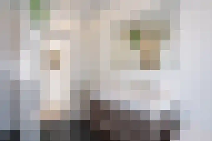 Dorpsstraat 30 Gasselte thumbnail 38
