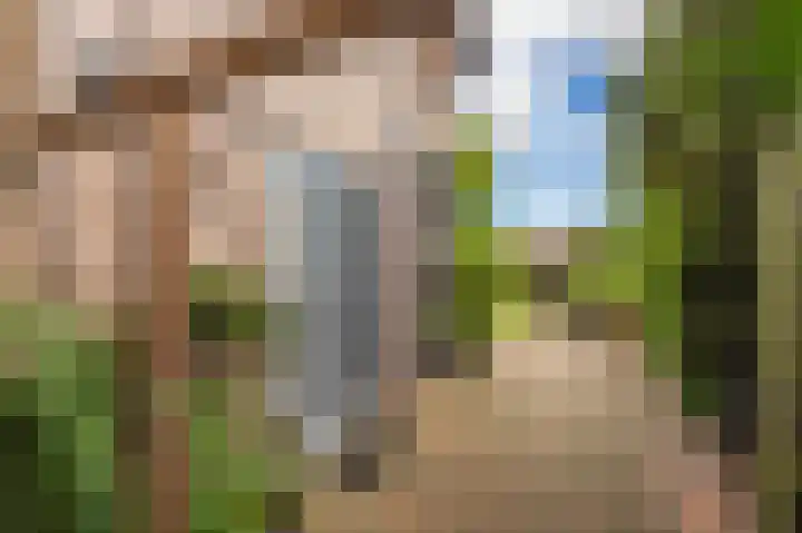 Dorpsstraat 30 Gasselte thumbnail 4