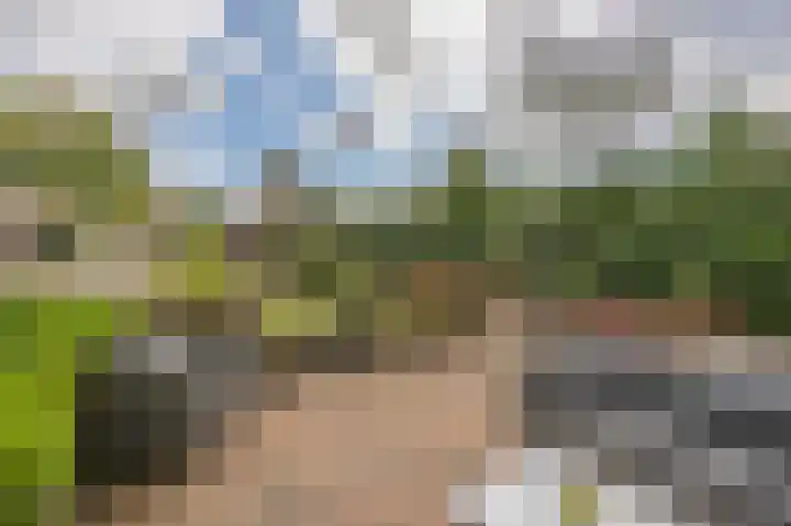 Dorpsstraat 30 Gasselte thumbnail 40