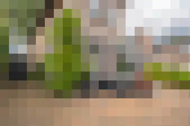 Dorpsstraat 30 Gasselte thumbnail 43