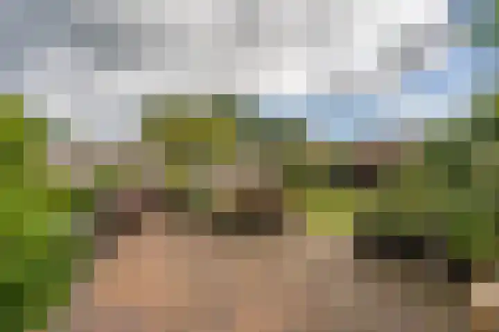 Dorpsstraat 30 Gasselte thumbnail 44