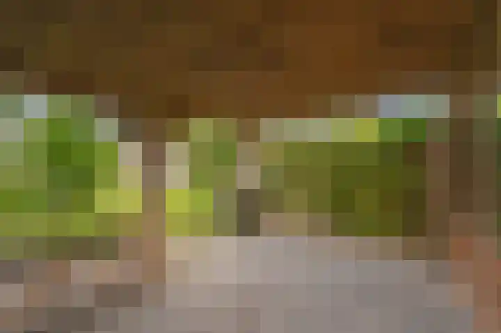 Dorpsstraat 30 Gasselte thumbnail 49