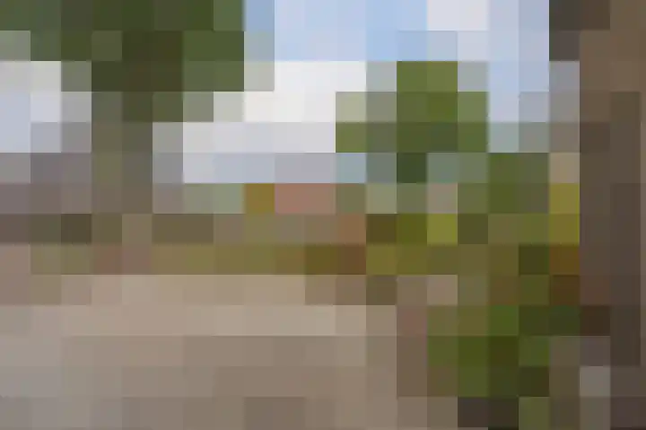 Dorpsstraat 30 Gasselte thumbnail 5