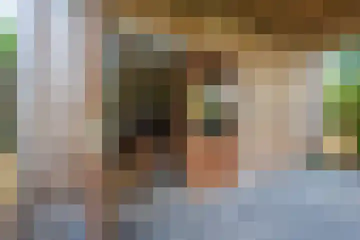Dorpsstraat 30 Gasselte thumbnail 50