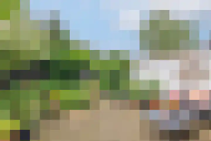 Dorpsstraat 30 Lage Vuursche thumbnail 30