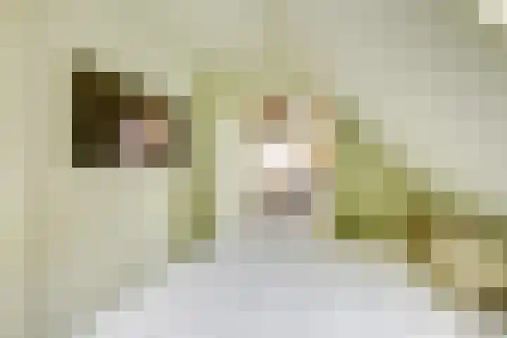 Dorpsstraat 30 Zoeterwoude thumbnail 17