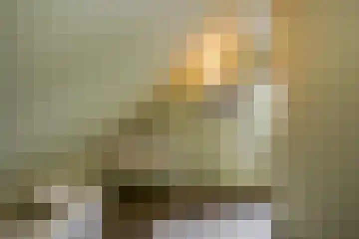 Dorpsstraat 30 Zoeterwoude thumbnail 24