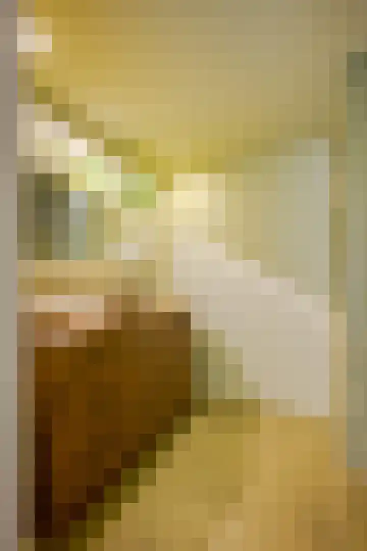 Dorpsstraat 30 Zoeterwoude thumbnail 25