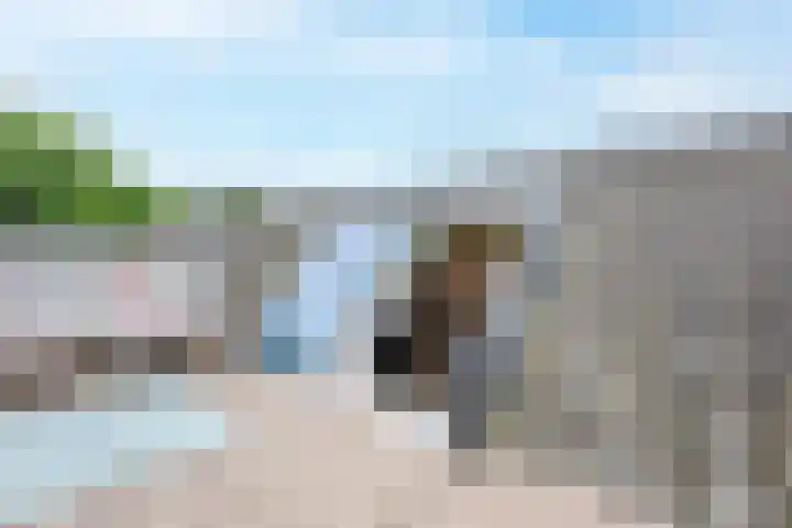 Dorpsstraat 30 Zoeterwoude thumbnail 35