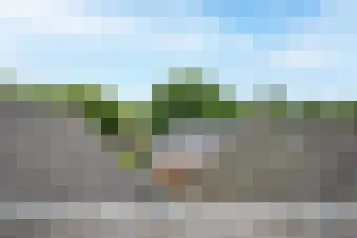 Dorpsstraat 30 Zoeterwoude thumbnail 38
