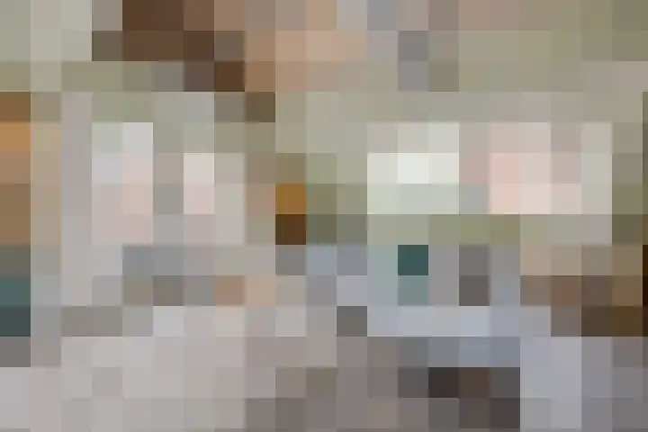 Dorpsstraat 30 Zoeterwoude thumbnail 8