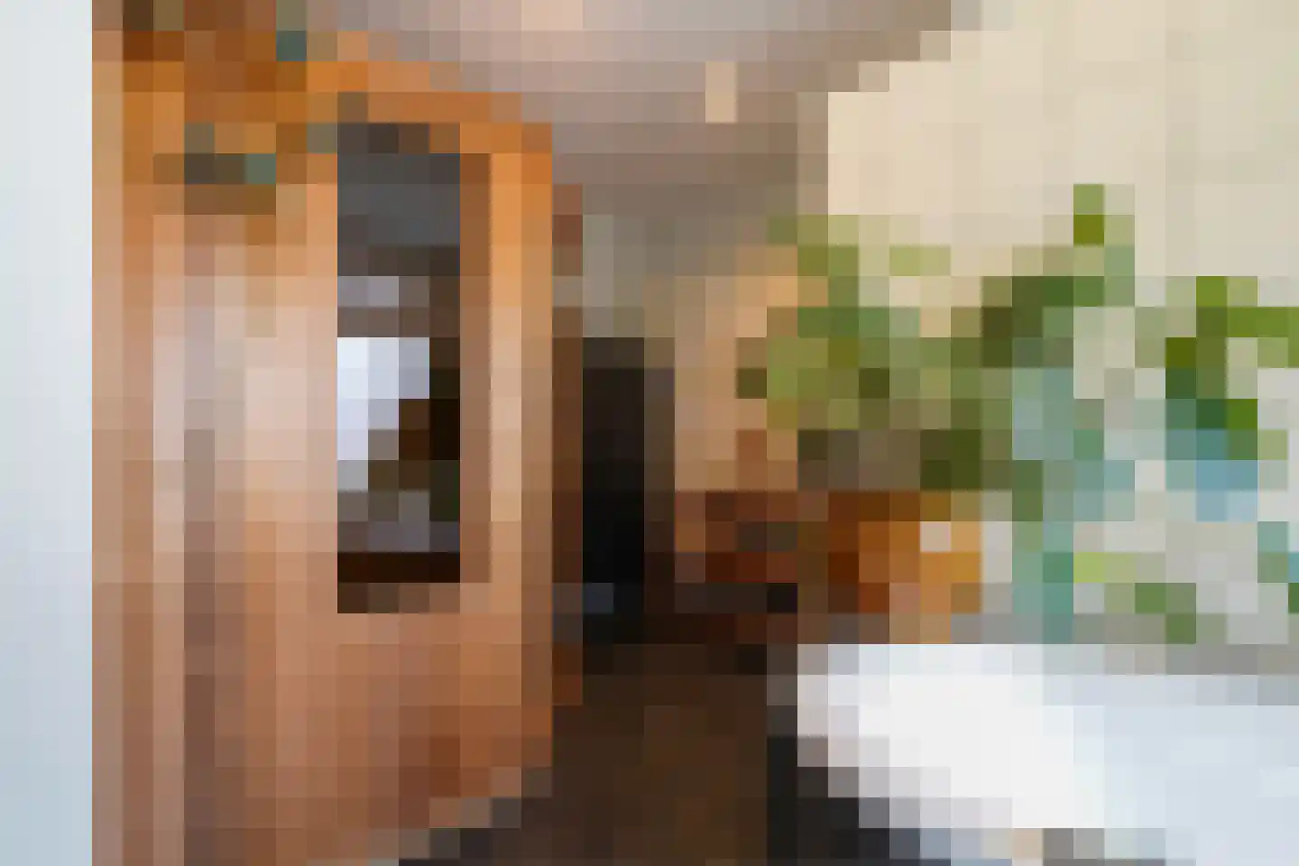 Dorpsstraat 30 Zoeterwoude thumbnail 9