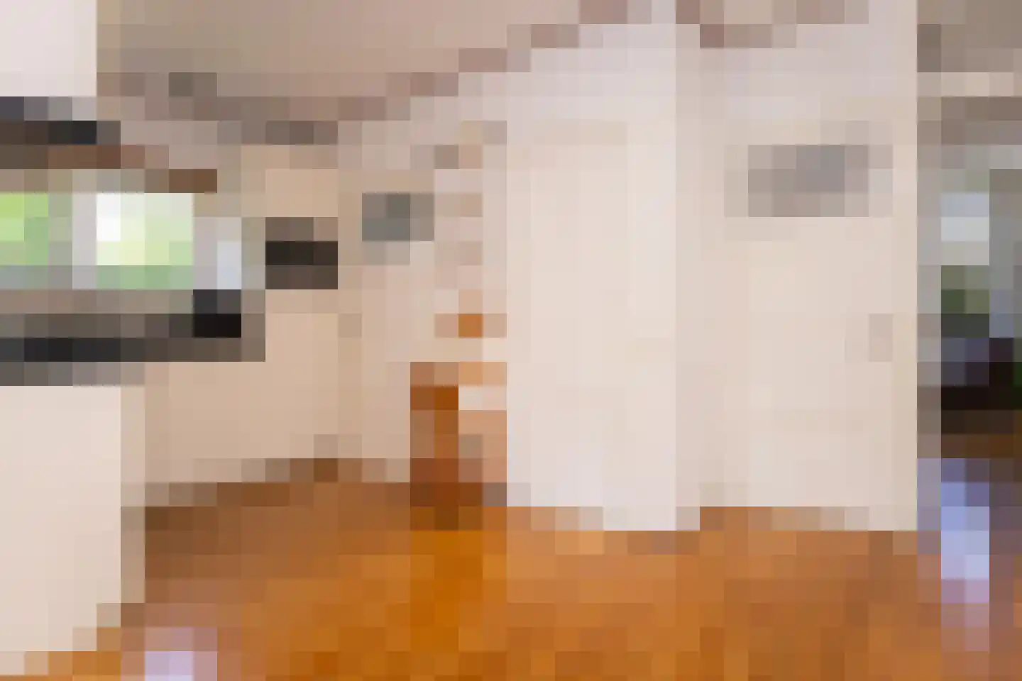 Dorpsstraat 300 Zwaag thumbnail 32