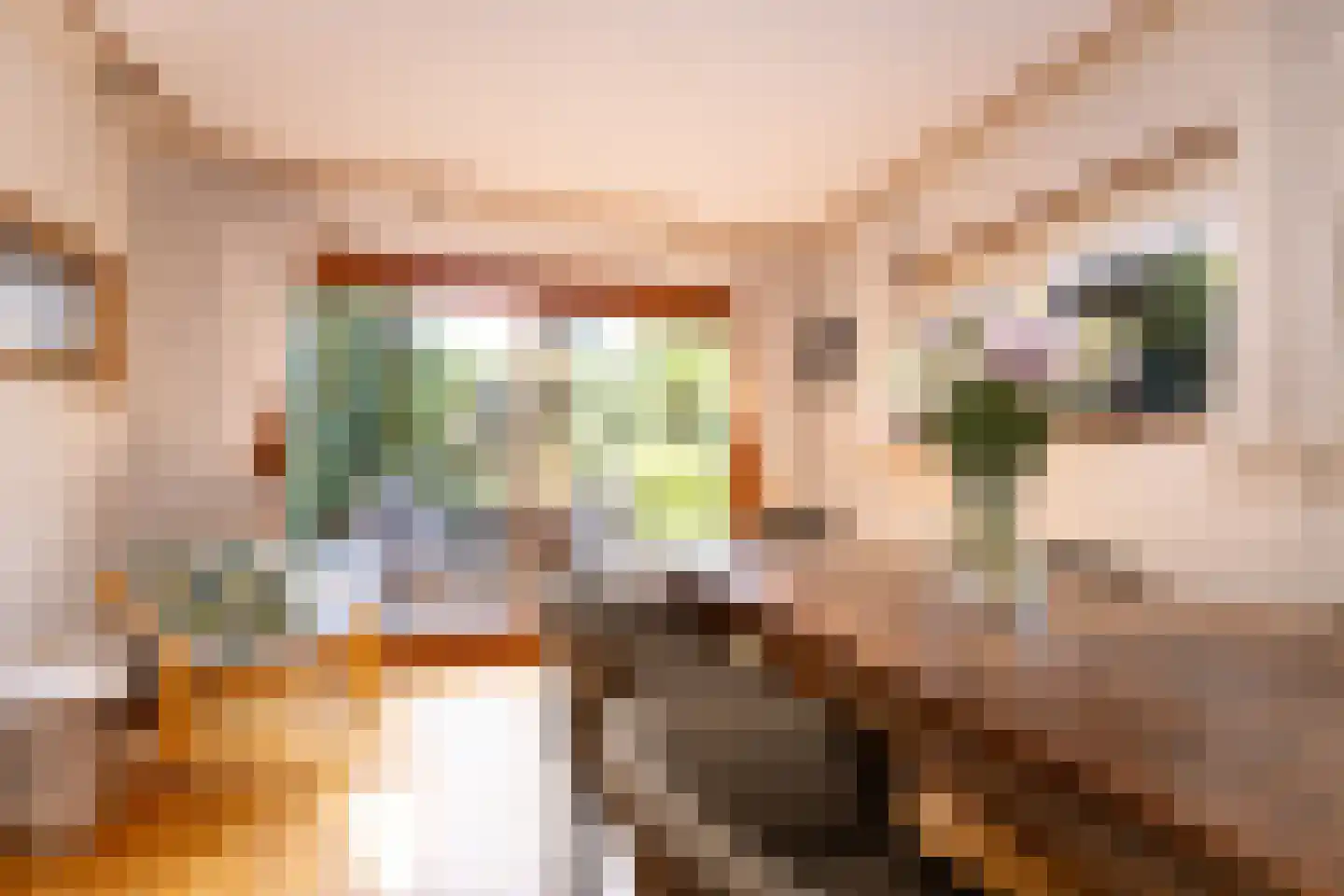 Dorpsstraat 300 Zwaag thumbnail 34