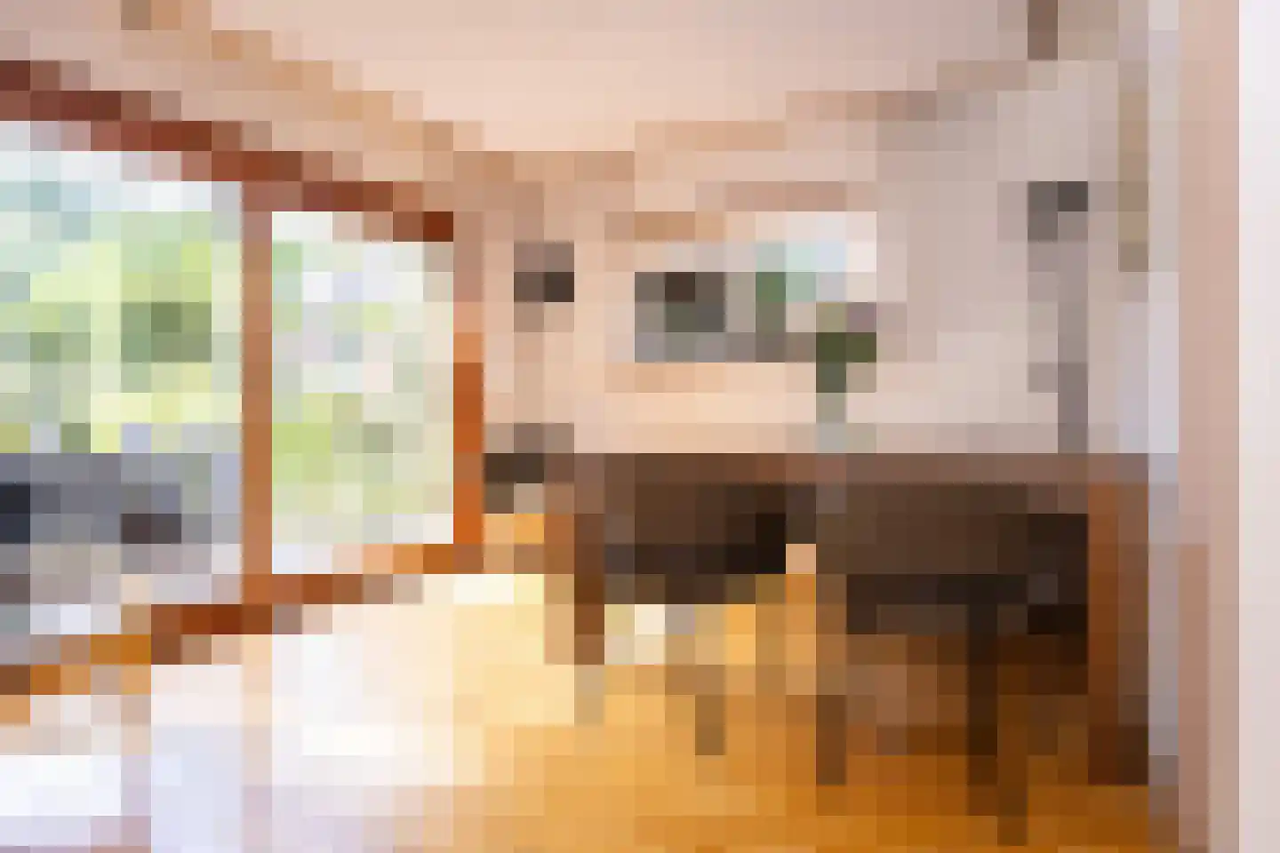Dorpsstraat 300 Zwaag thumbnail 35