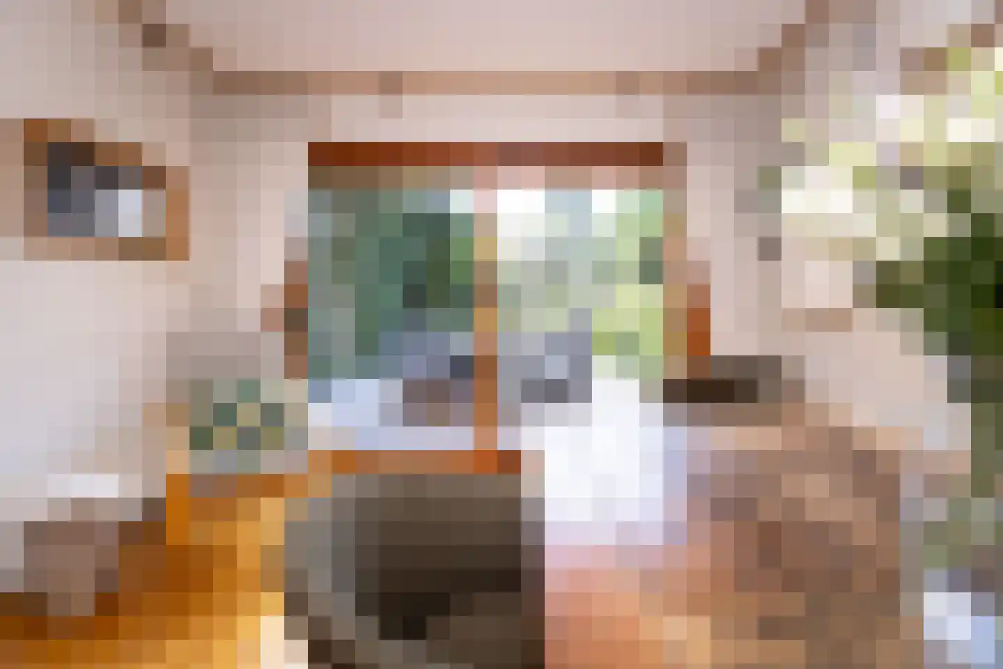 Dorpsstraat 300 Zwaag thumbnail 36
