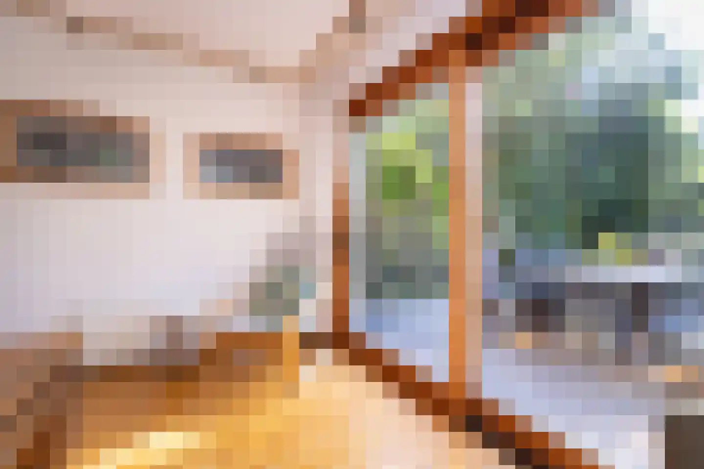 Dorpsstraat 300 Zwaag thumbnail 37