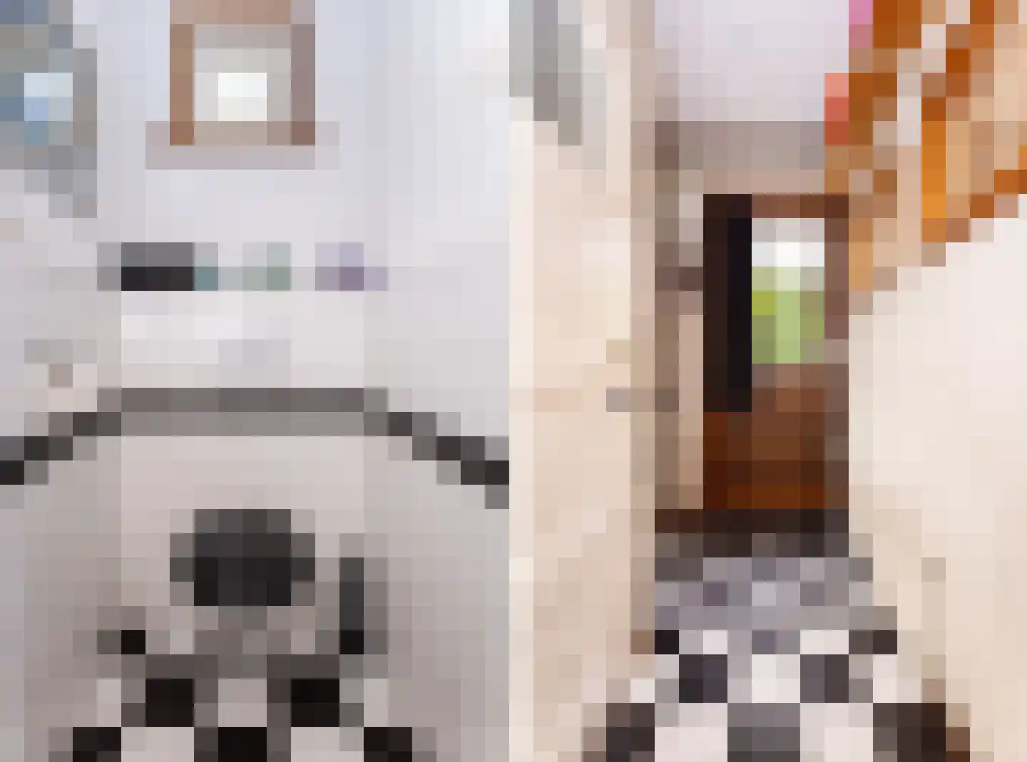 Dorpsstraat 300 Zwaag thumbnail 38
