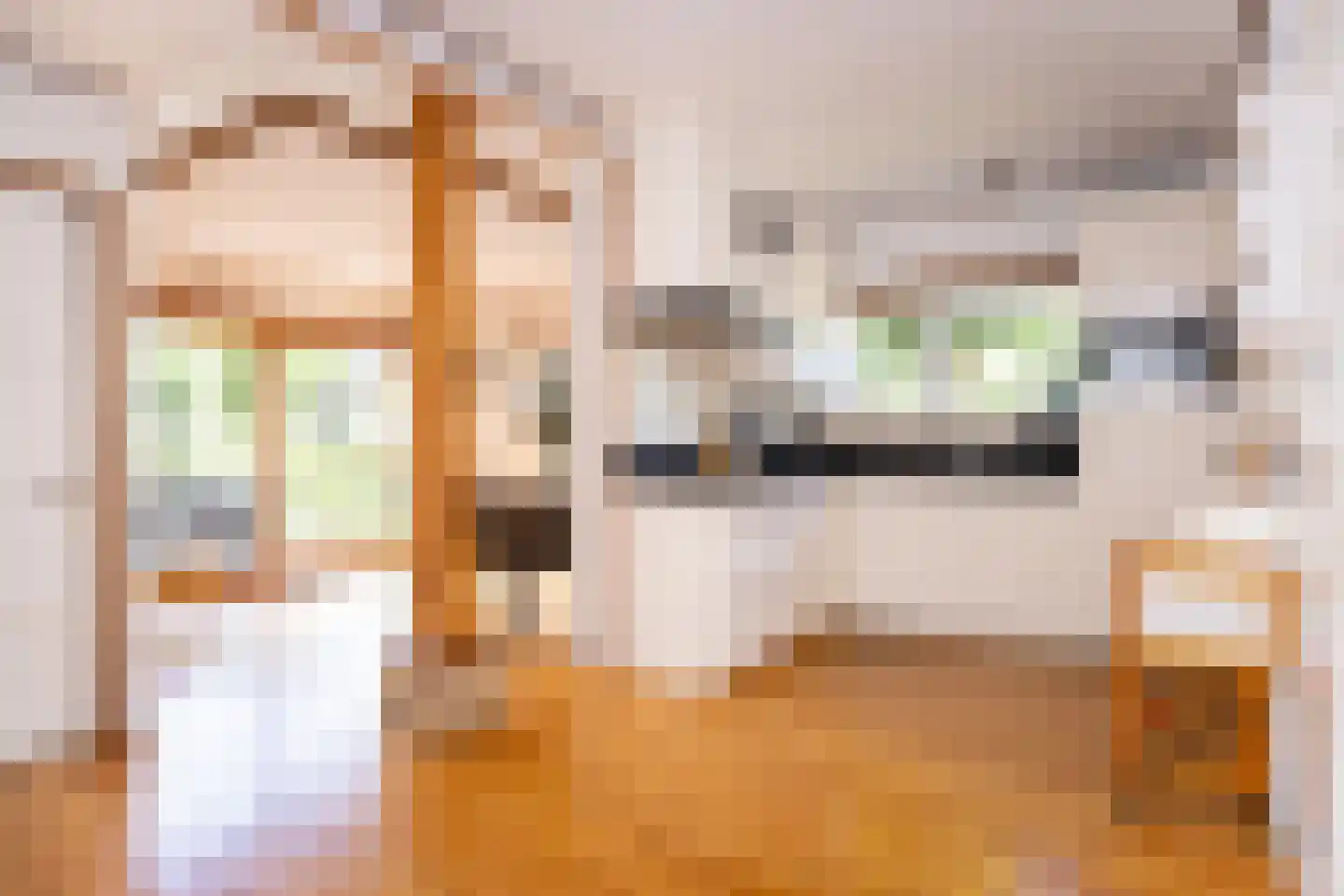 Dorpsstraat 300 Zwaag thumbnail 6