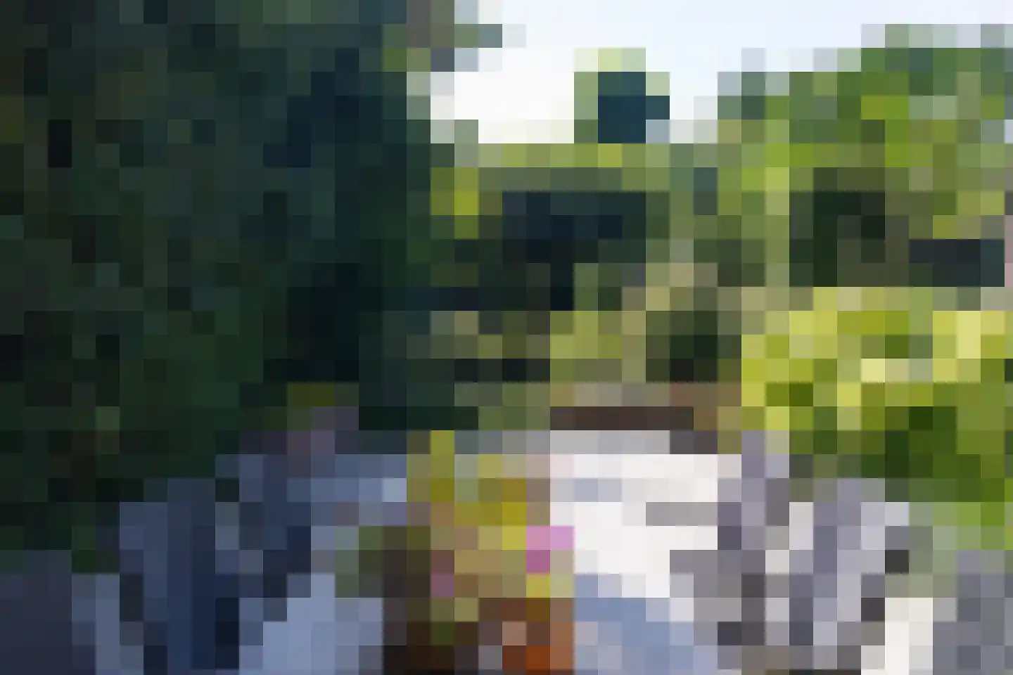 Dorpsstraat 300 Zwaag thumbnail 62