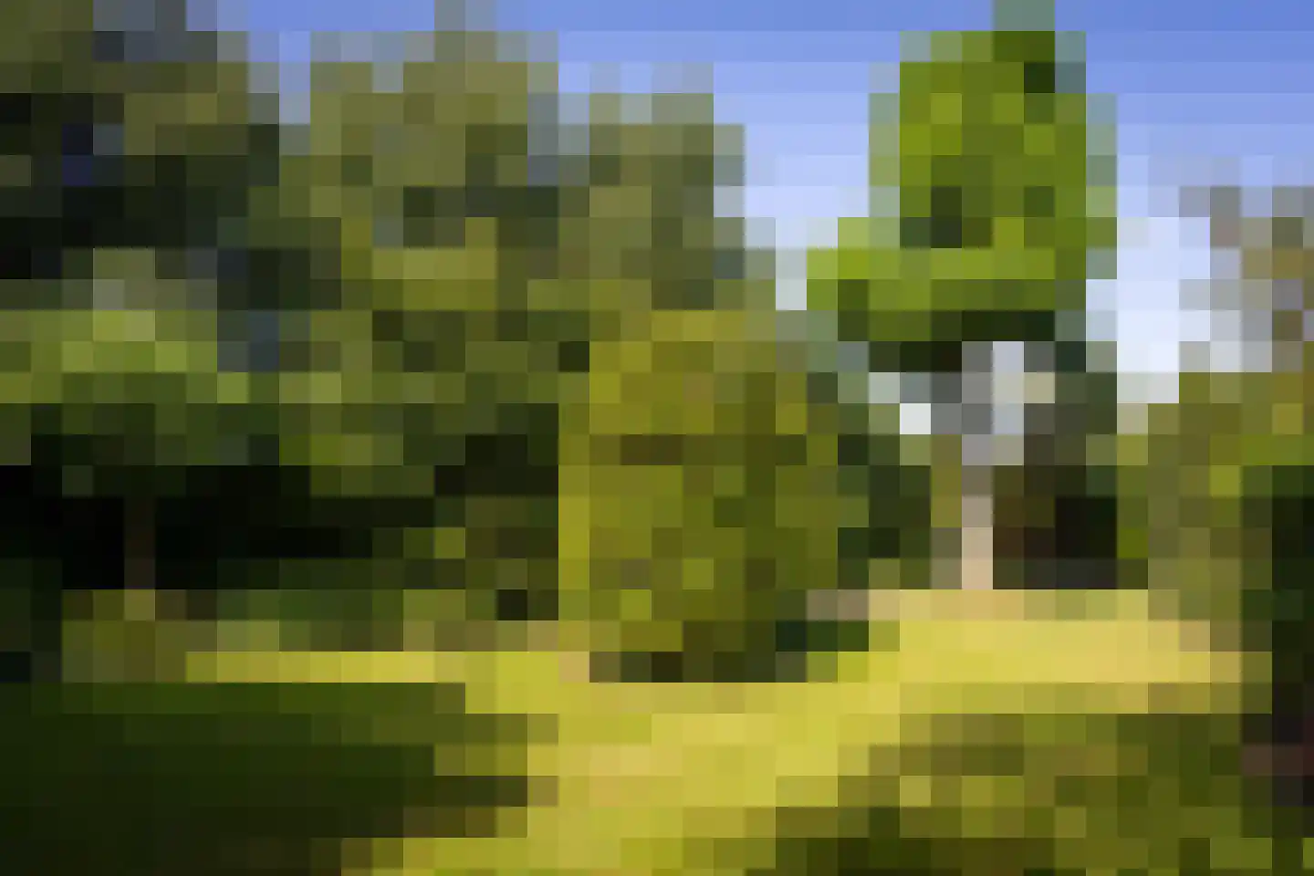 Dorpsstraat 300 Zwaag thumbnail 63
