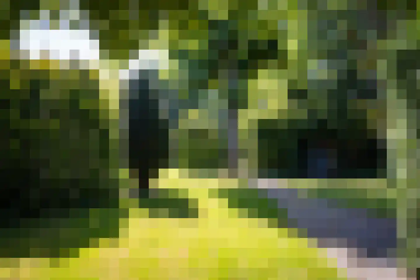 Dorpsstraat 300 Zwaag thumbnail 65