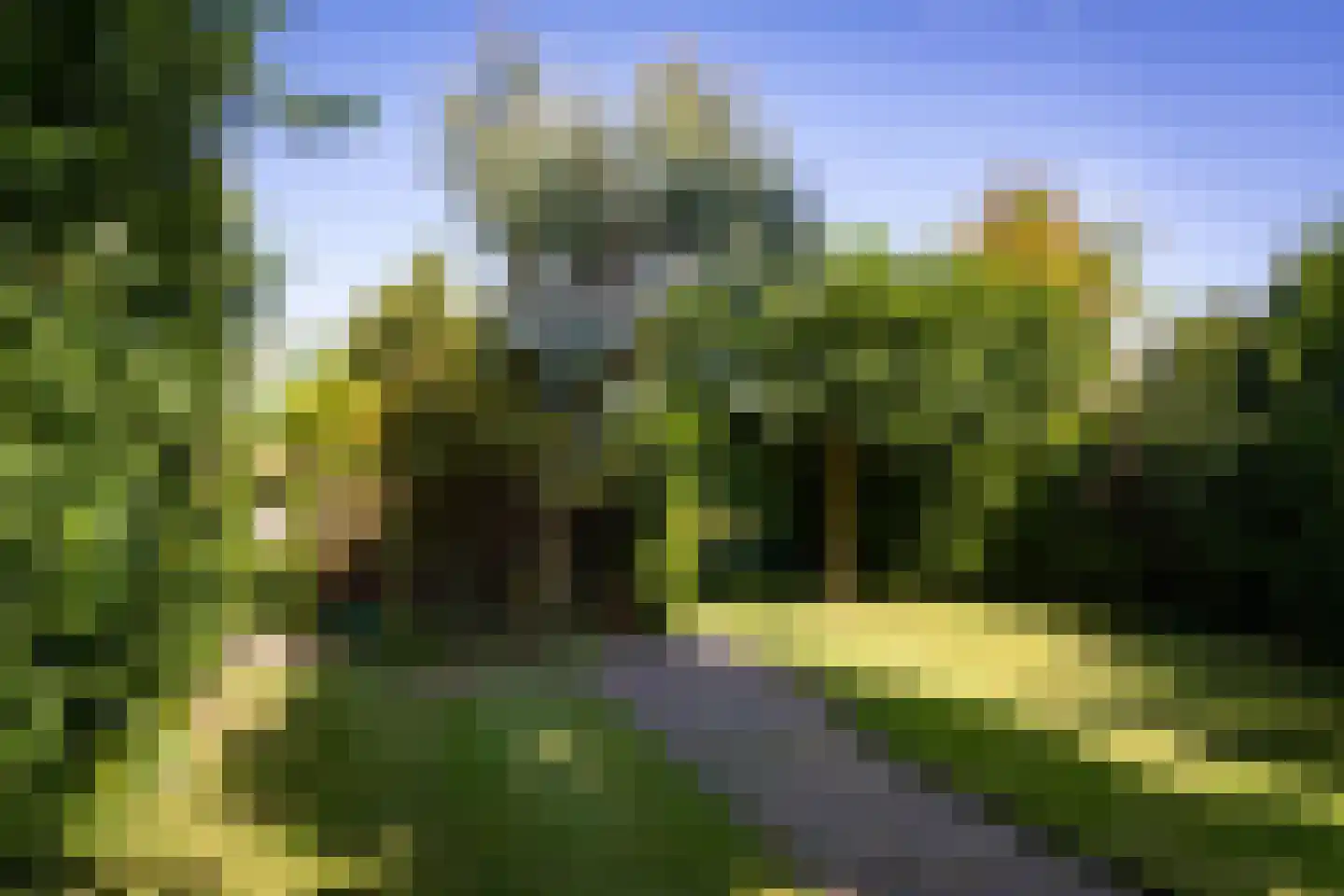 Dorpsstraat 300 Zwaag thumbnail 68