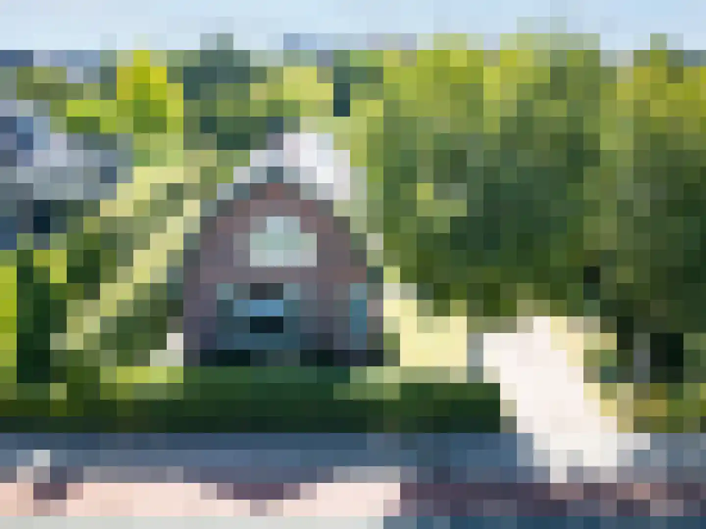 Dorpsstraat 300 Zwaag thumbnail 9