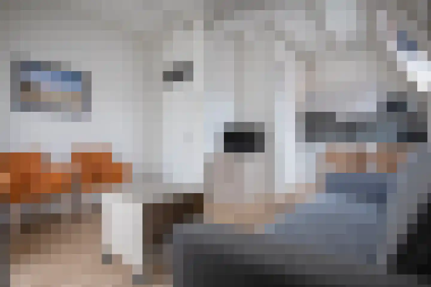 Dorpsstraat 307 De Koog thumbnail 5