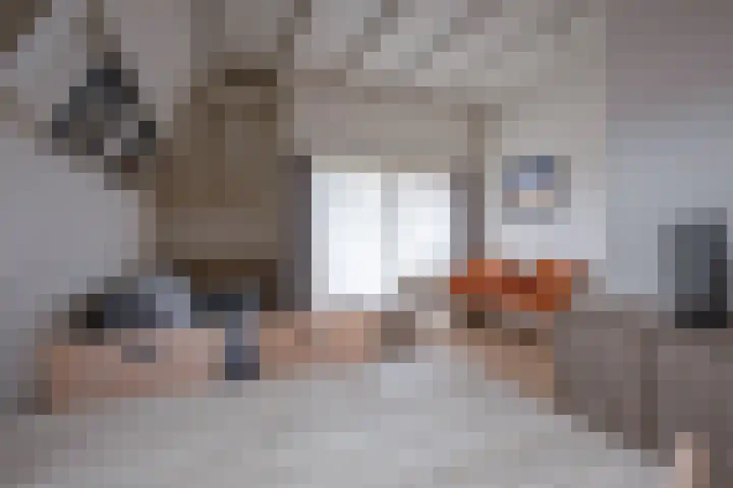 Dorpsstraat 307 De Koog thumbnail 9