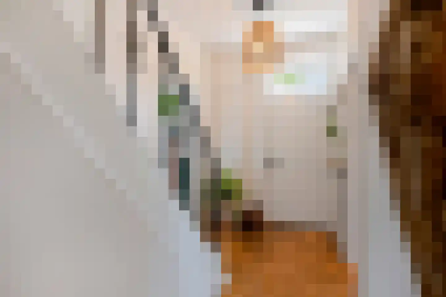 Dorpsstraat 31 Mheer thumbnail 11