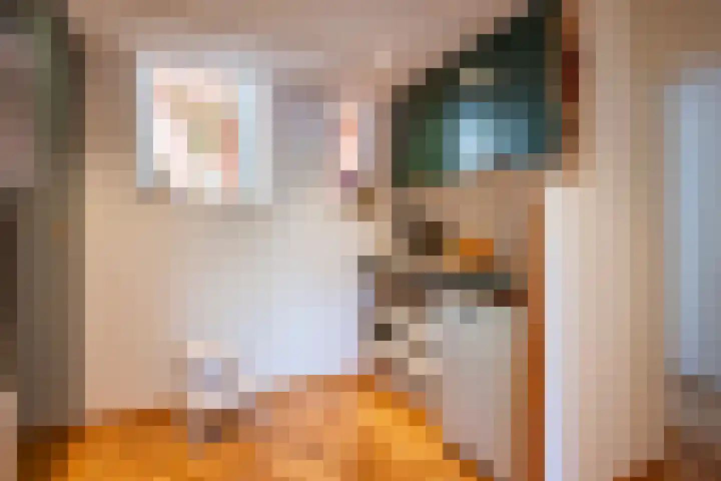 Dorpsstraat 31 Mheer thumbnail 23