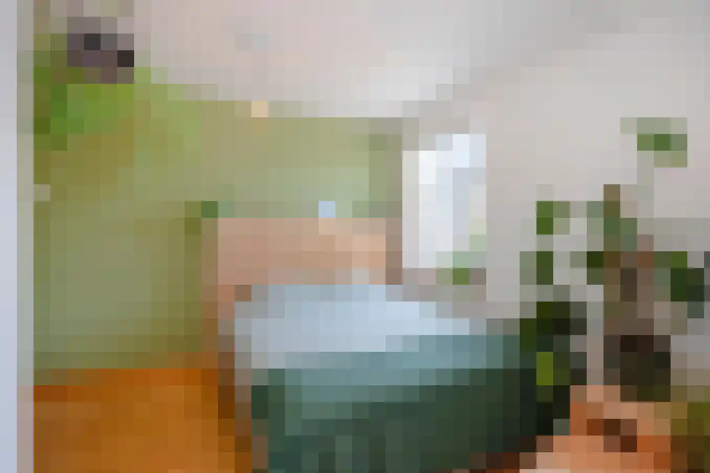 Dorpsstraat 31 Mheer thumbnail 34