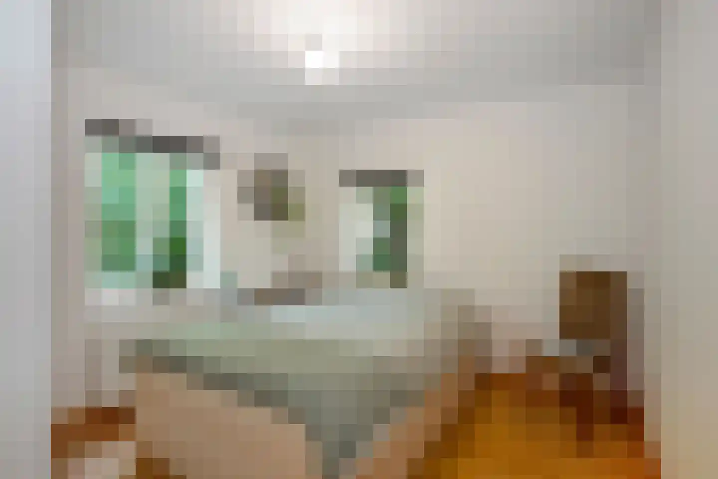 Dorpsstraat 31 Mheer thumbnail 37