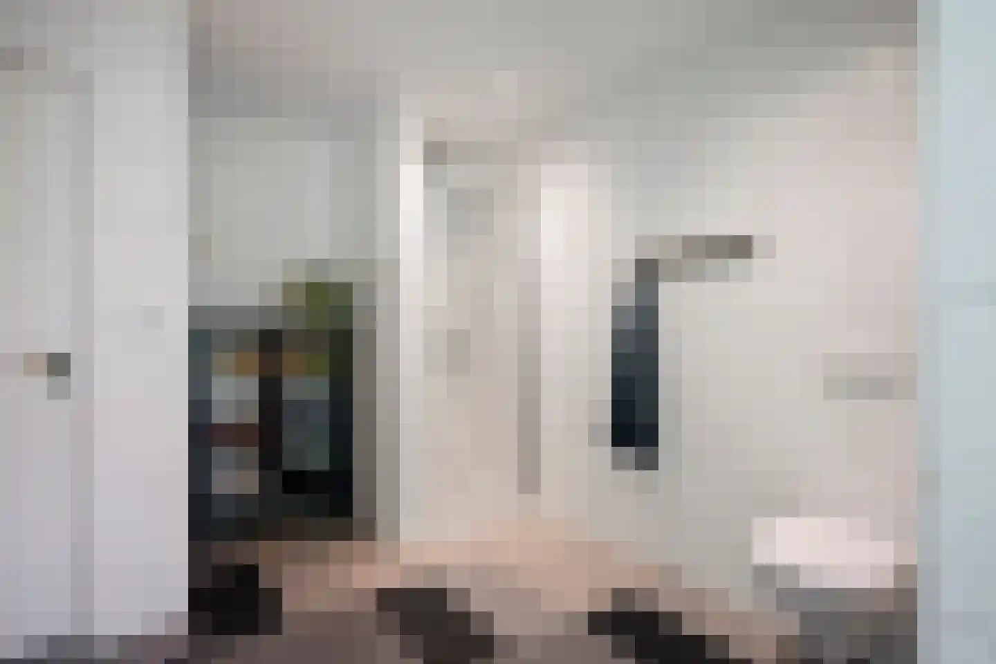 Dorpsstraat 31 Mheer thumbnail 39