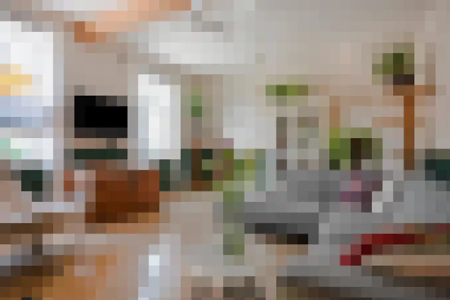 Dorpsstraat 31 Mheer thumbnail 4