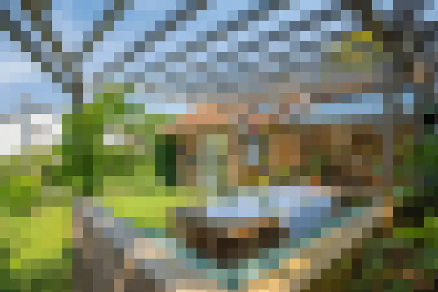 Dorpsstraat 31 Mheer thumbnail 50