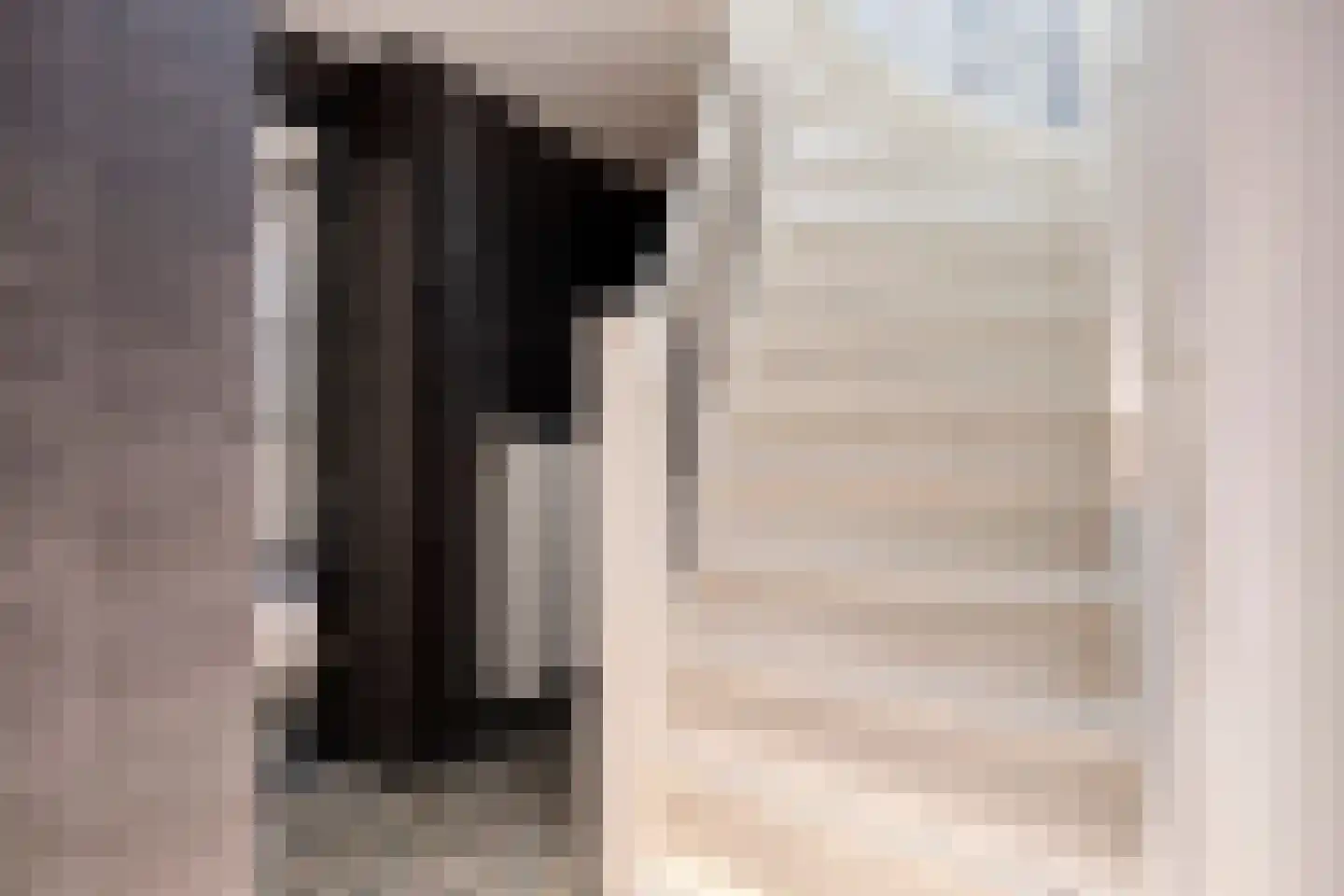 Dorpsstraat 31 Muiderberg thumbnail 15