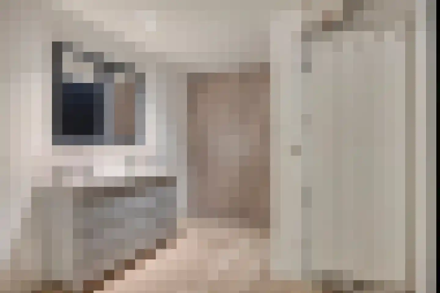 Dorpsstraat 31 Muiderberg thumbnail 21