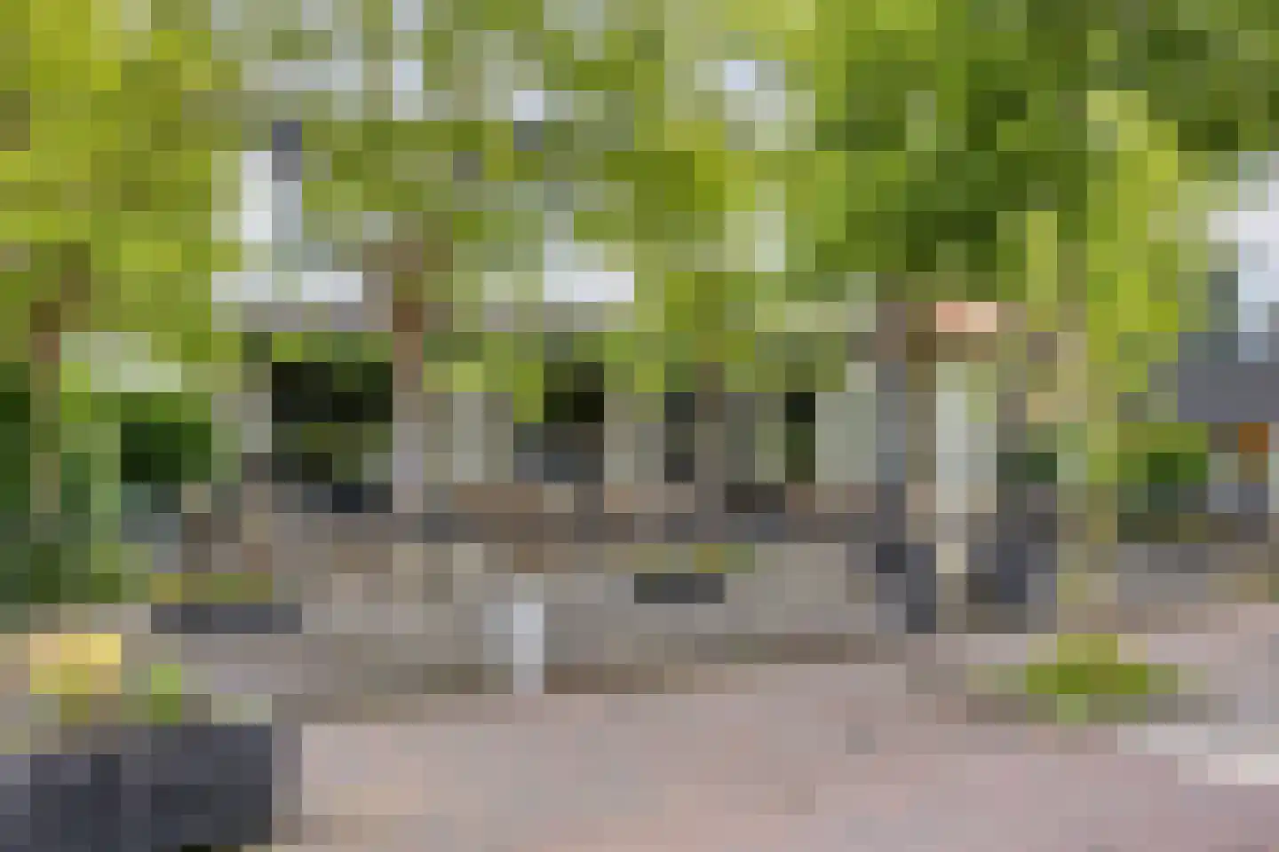Dorpsstraat 31 Muiderberg thumbnail 45