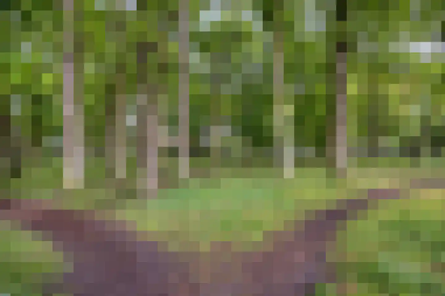 Dorpsstraat 31 Muiderberg thumbnail 47