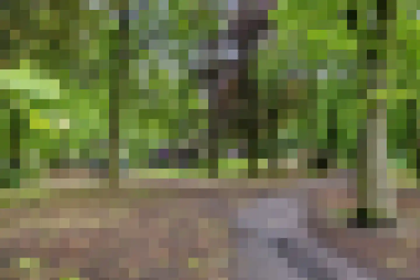 Dorpsstraat 31 Muiderberg thumbnail 48